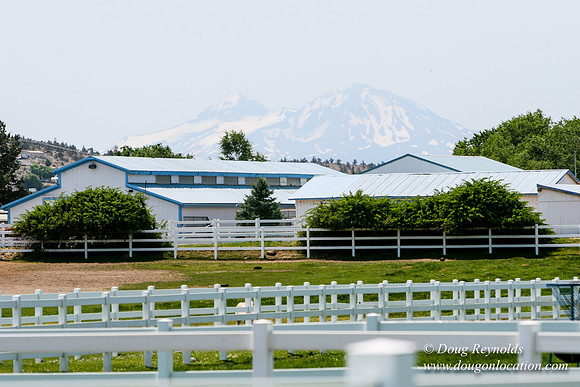 Ranch 23