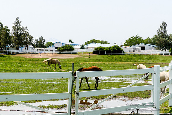 Ranch 23