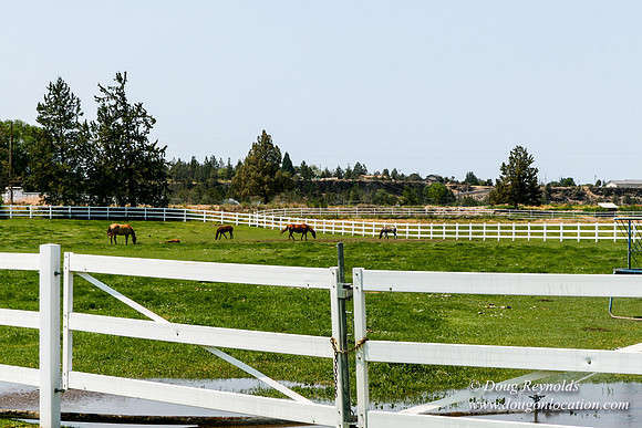 Ranch 23