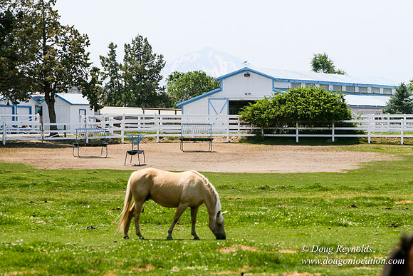 Ranch 23