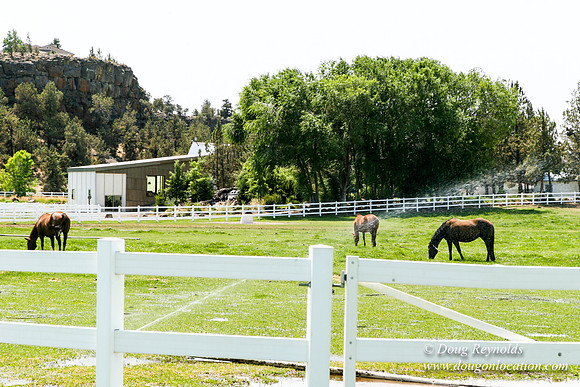 Ranch 23