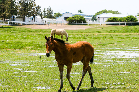 Ranch 23