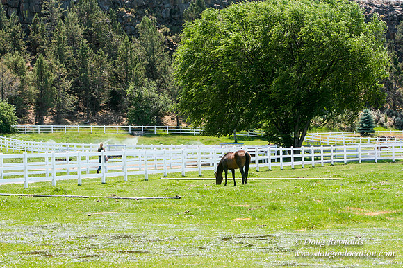 Ranch 23