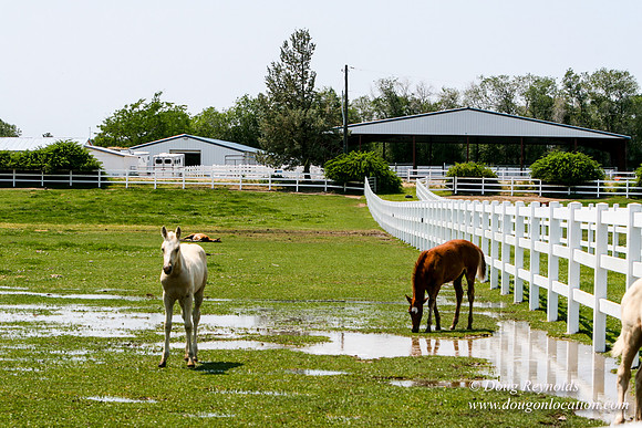 Ranch 23