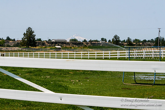 Ranch 23