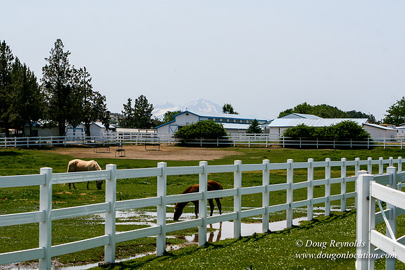 Ranch 23