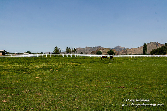 Ranch 23