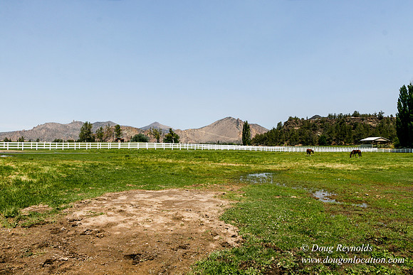 Ranch 23