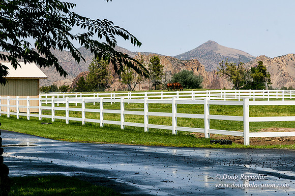 Ranch 23