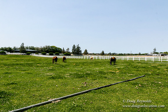 Ranch 23
