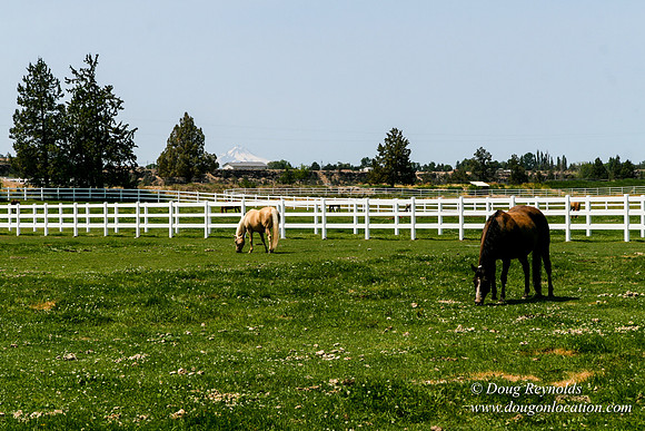 Ranch 23