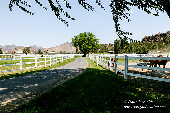 Ranch 23