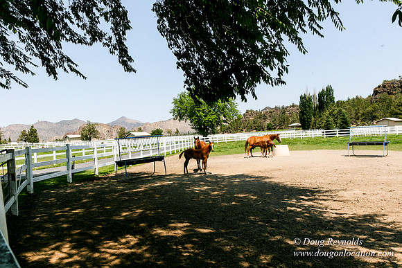 Ranch 23