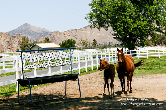 Ranch 23