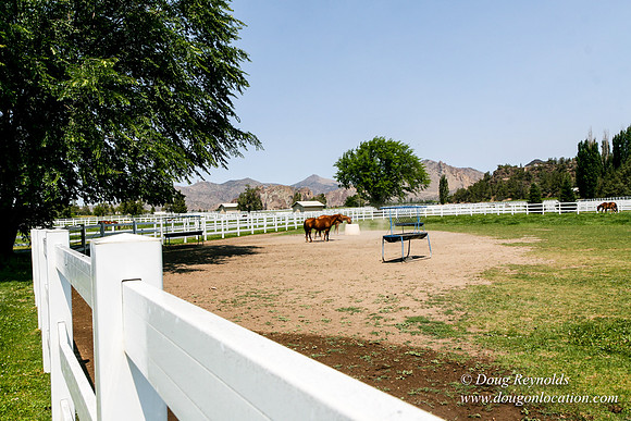 Ranch 23