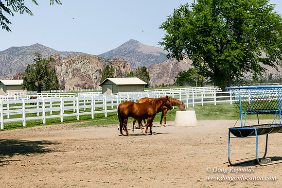 Ranch 23