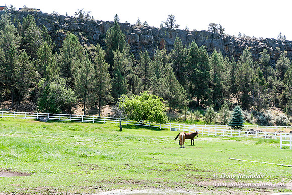 Ranch 23