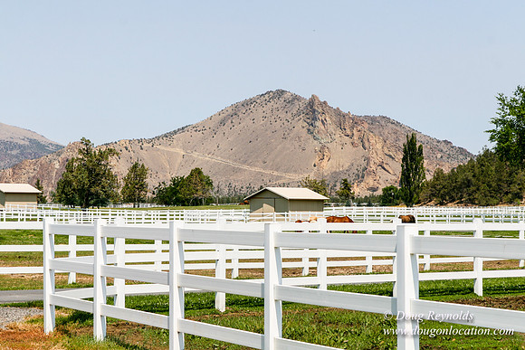 Ranch 23