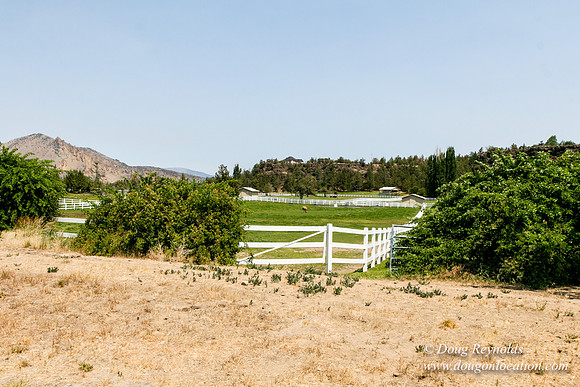 Ranch 23