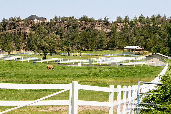 Ranch 23