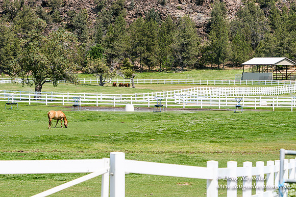 Ranch 23