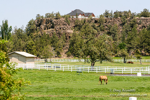 Ranch 23