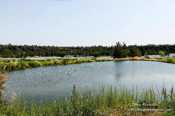 Ranch 23
