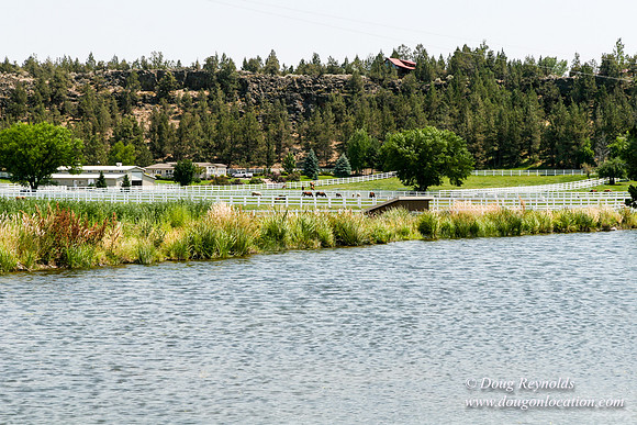 Ranch 23