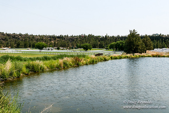 Ranch 23