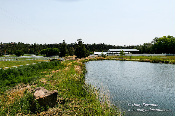 Ranch 23