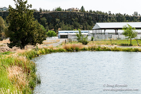 Ranch 23