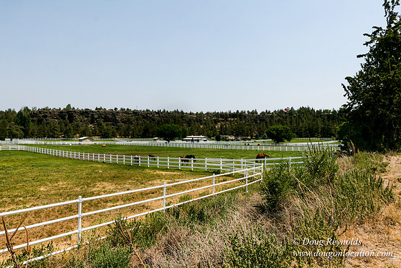 Ranch 23