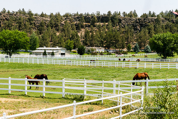 Ranch 23