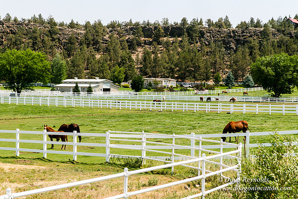 Ranch 23