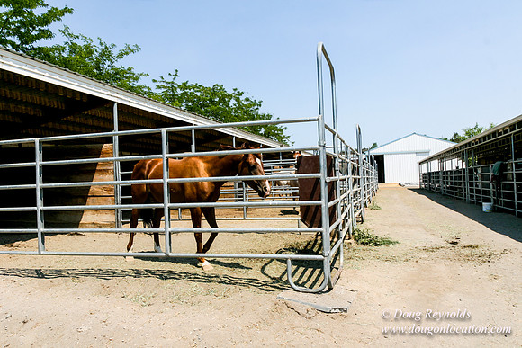 Ranch 23