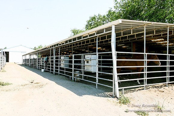 Ranch 23