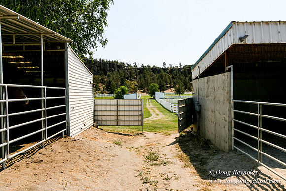 Ranch 23