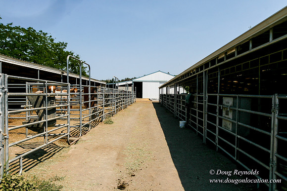Ranch 23