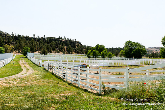 Ranch 23