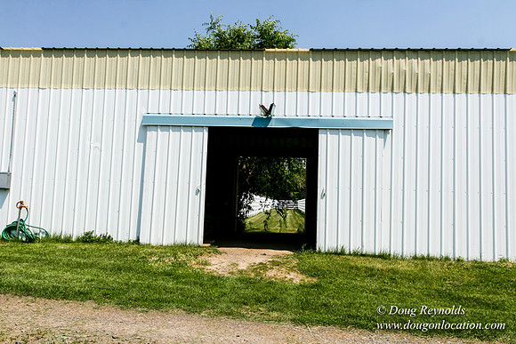Ranch 23