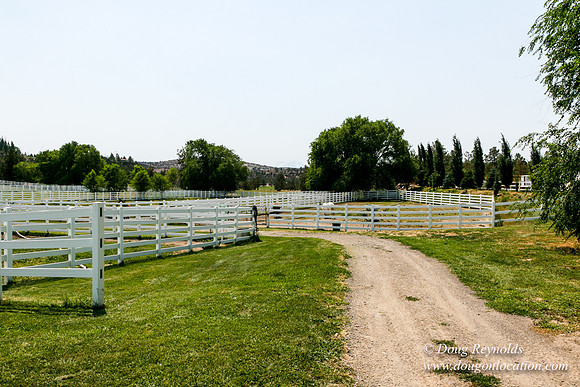 Ranch 23