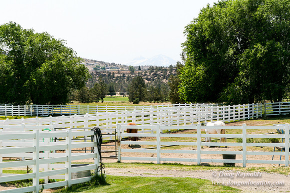 Ranch 23