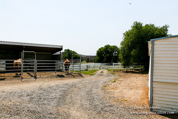 Ranch 23