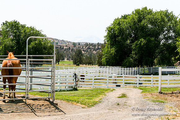 Ranch 23