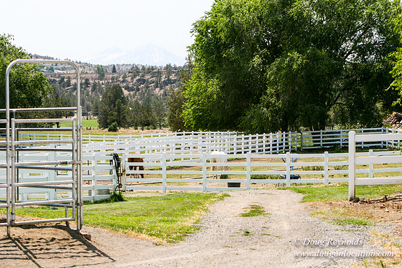 Ranch 23