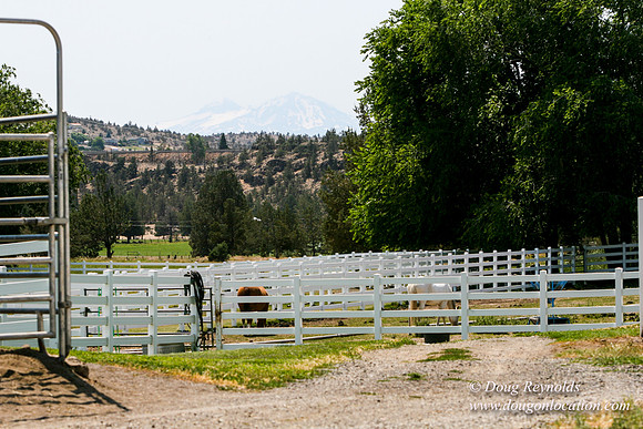 Ranch 23
