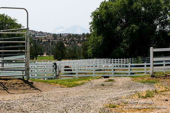 Ranch 23