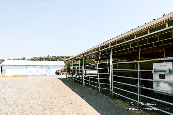 Ranch 23