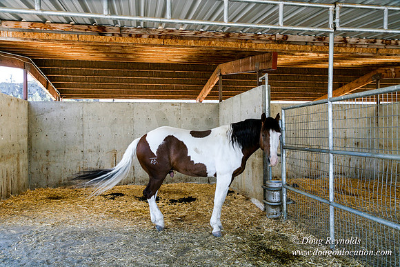 Ranch 23