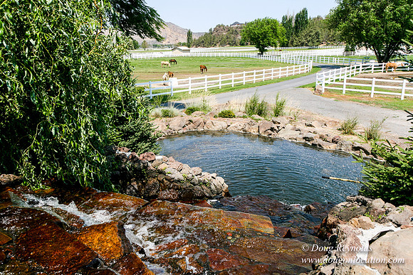 Ranch 23